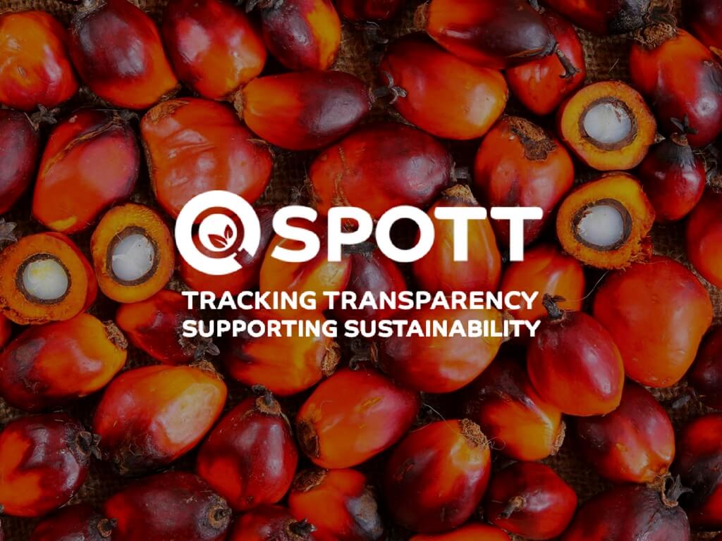 Palm oil: ESG policy transparency assessments - SPOTT.org | SPOTT.org