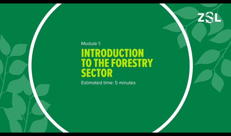 Tropical forestry ESG sustainability training