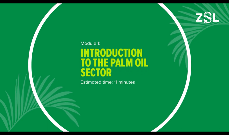 Palm oil ESG sustainability training