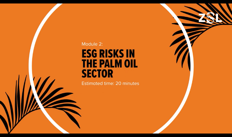 Palm oil ESG sustainability training